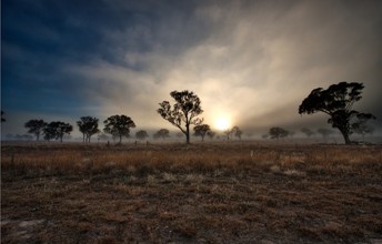 Foggy Morning