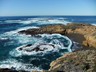 Sea Lion Cove