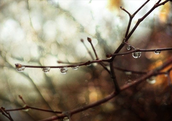 Pretty Raindrops Pretty Raindrops