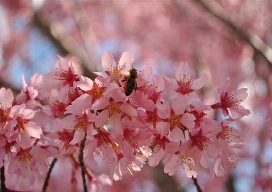 Spring is here Spring is here