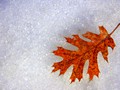 Seasons