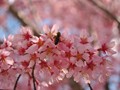 Spring is here