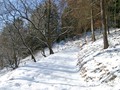 Winter in Tharandt